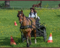 1POSIEUX 0193